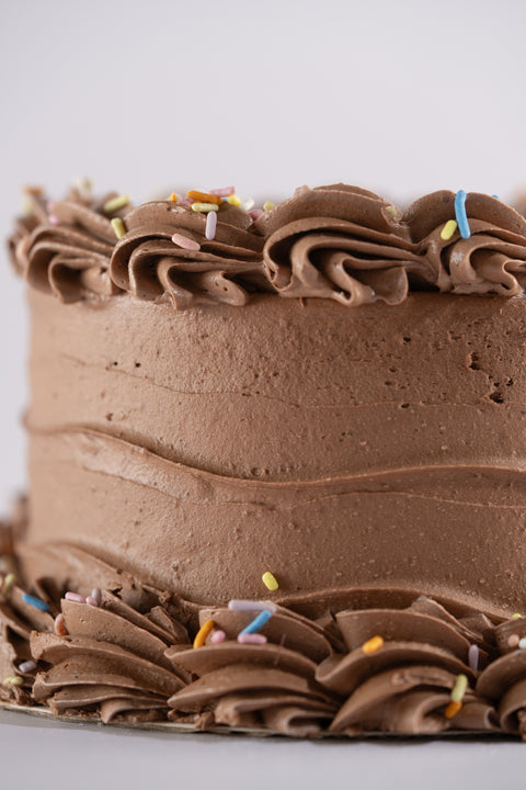 A close-up side view of a vegan and gluten-free chocolate frosted cake with piped chocolate swirls on top and bottom edges, topped with colorful sprinkles.